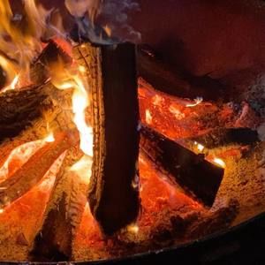 Meet your Posher, Tonee